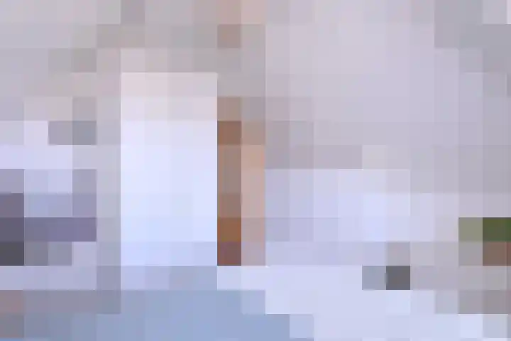 Rijkenhage 4 Zutphen thumbnail 42