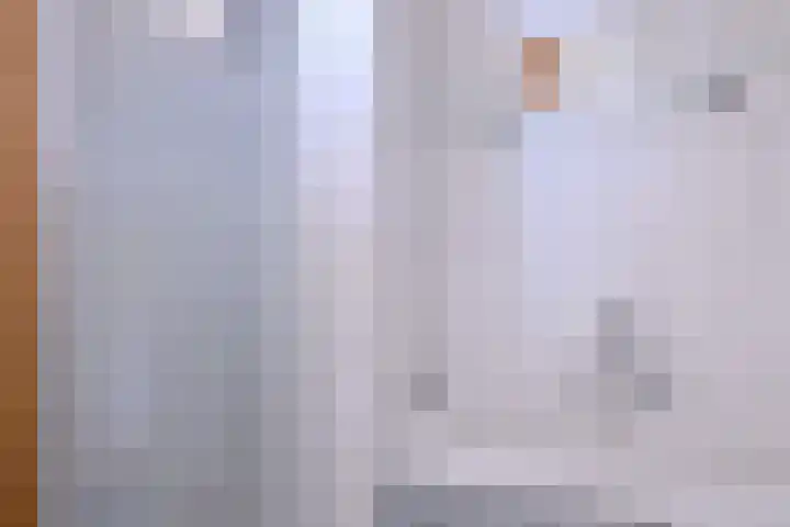 Rijkenhage 4 Zutphen thumbnail 45