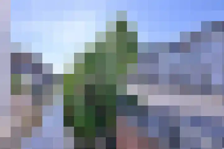 Rijkenhage 4 Zutphen thumbnail 52