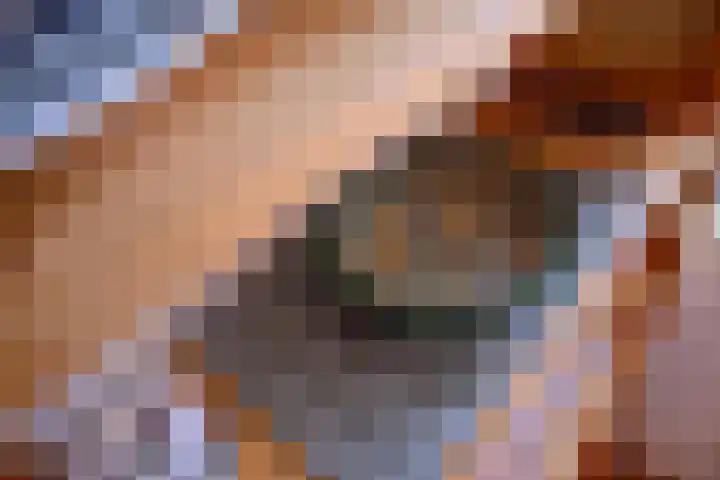 Rijkenhage 4 Zutphen thumbnail 6