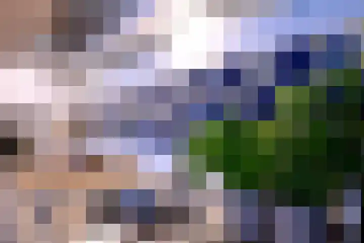 Rijkenhage 4 Zutphen thumbnail 8
