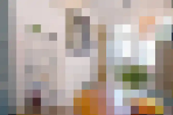 Rijkenhage 4 Zutphen thumbnail 9
