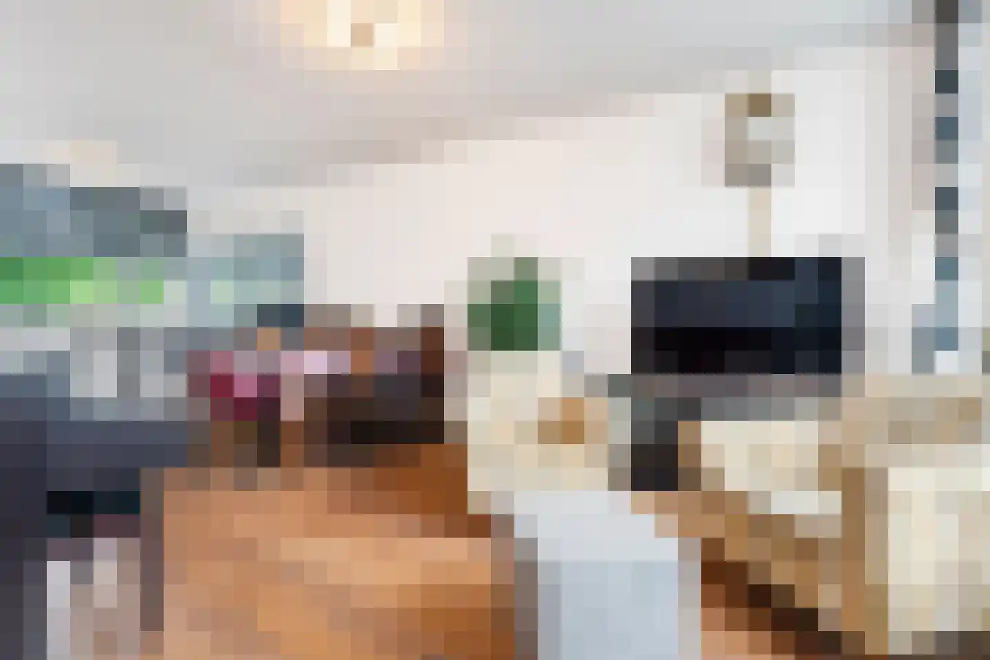 Rijkenspad 17 Goes thumbnail 10