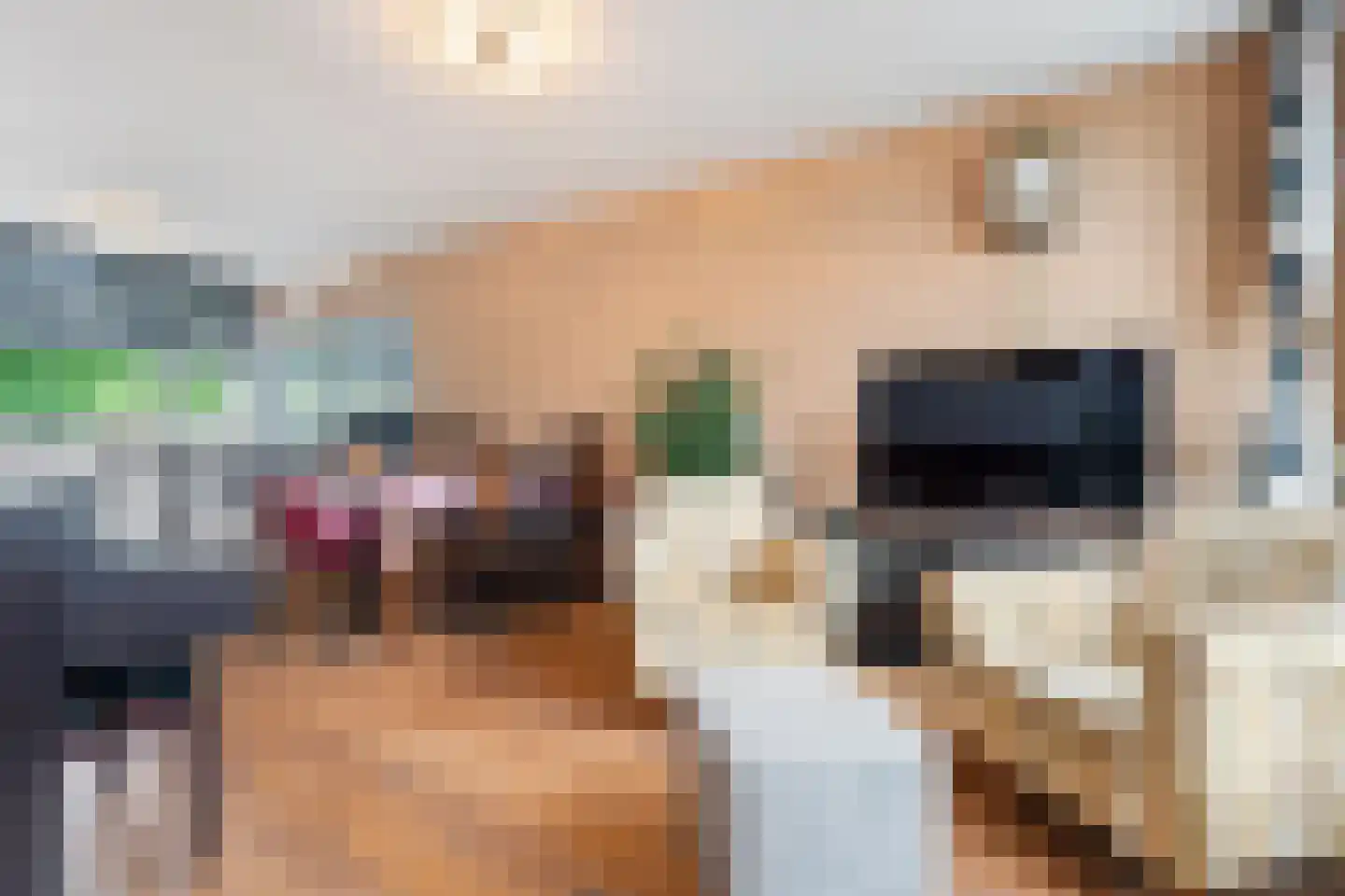 Rijkenspad 17 Goes thumbnail 11