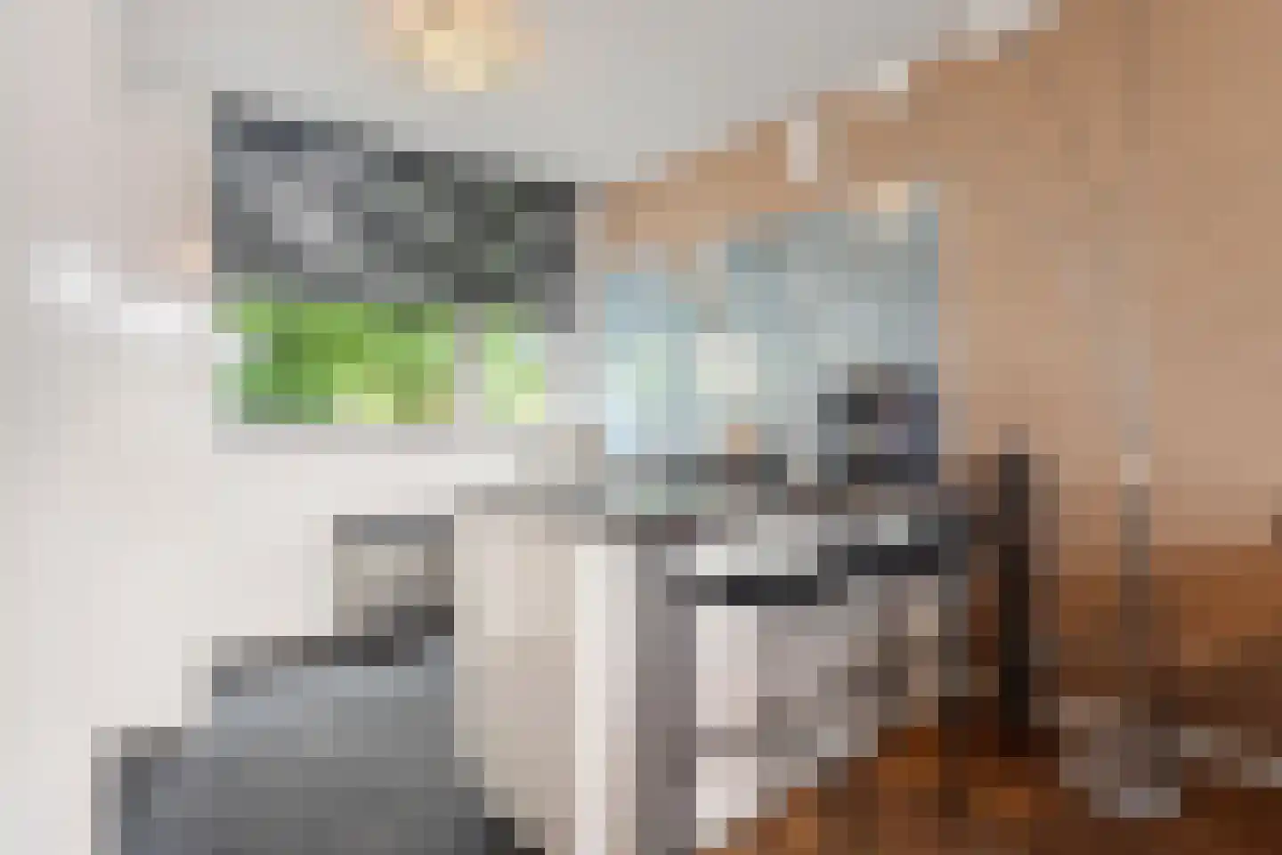 Rijkenspad 17 Goes thumbnail 12