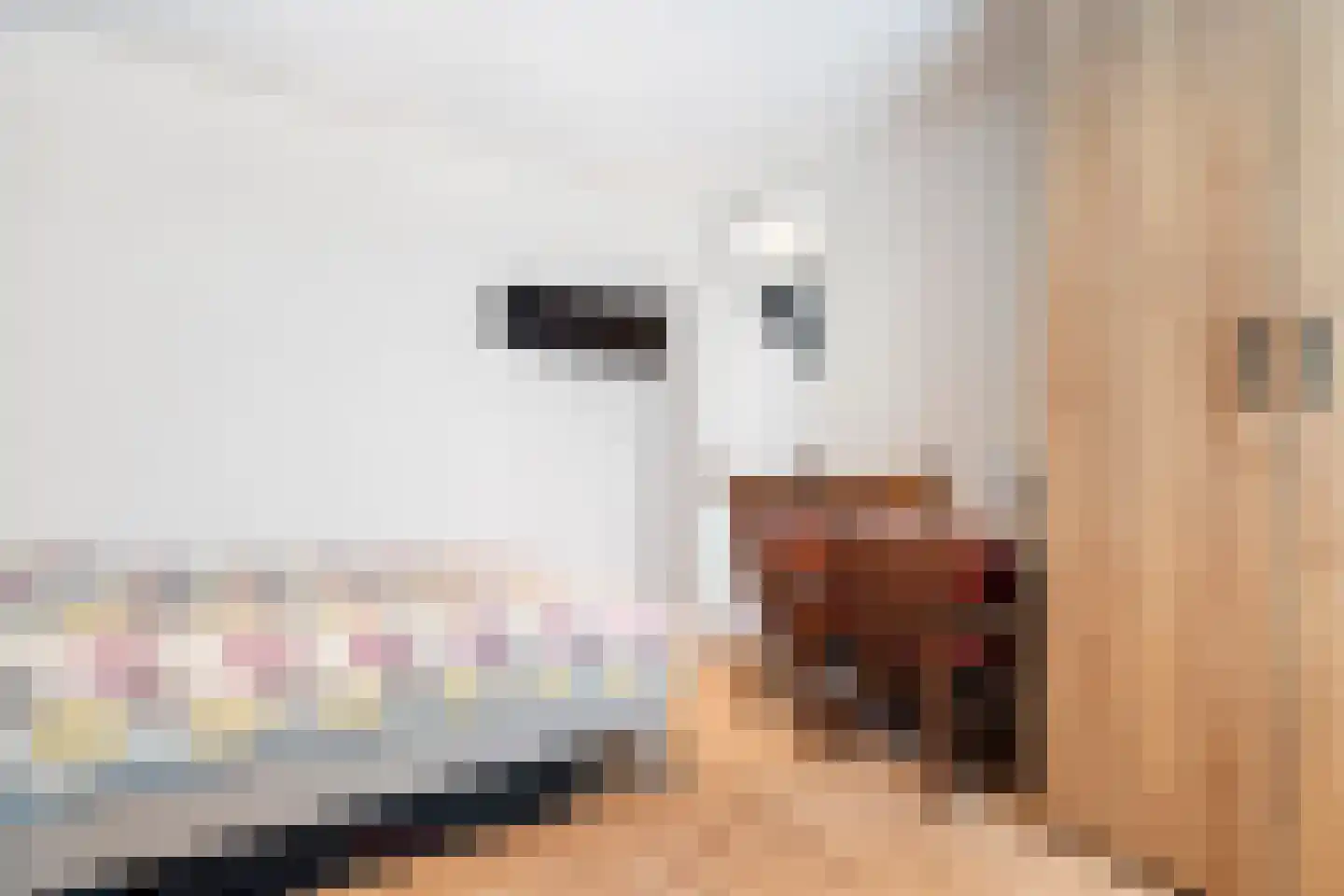 Rijkenspad 17 Goes thumbnail 20
