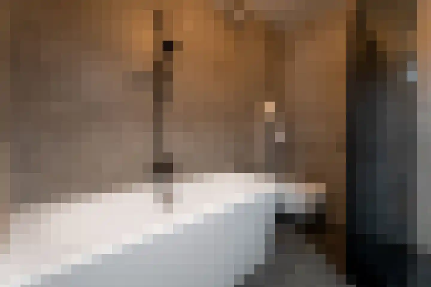 Rijkenspad 17 Goes thumbnail 26