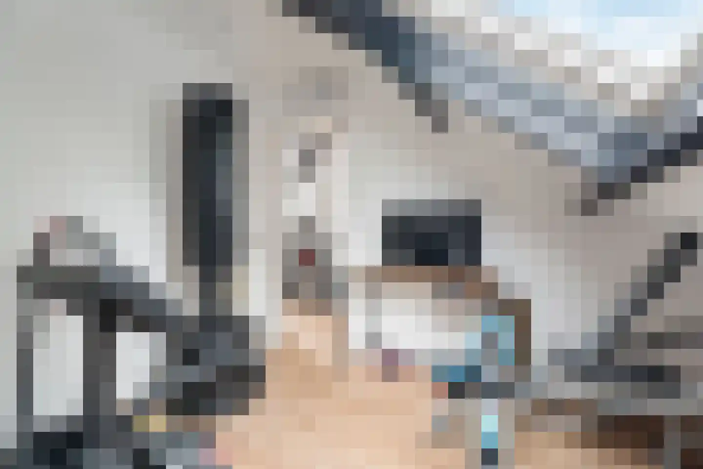 Rijkenspad 17 Goes thumbnail 32