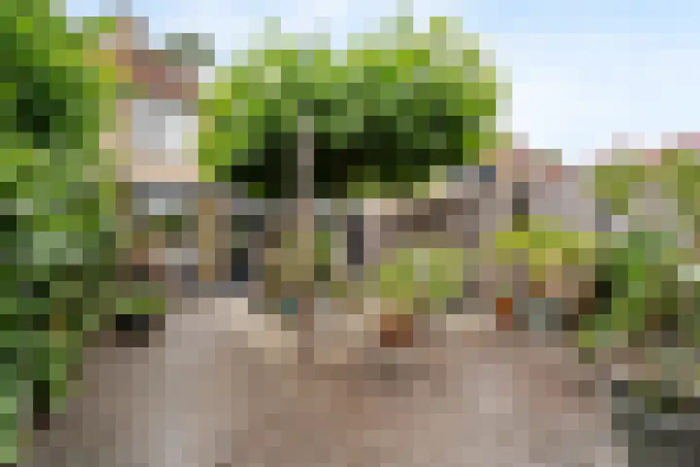 Rijkenspad 17 Goes thumbnail 4