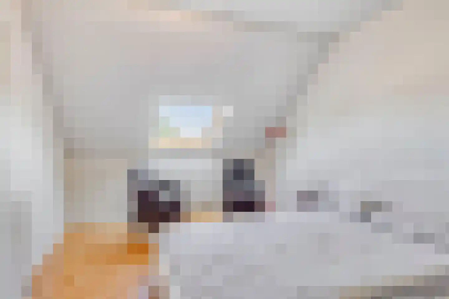 Rijkenspad 23 Goes thumbnail 32