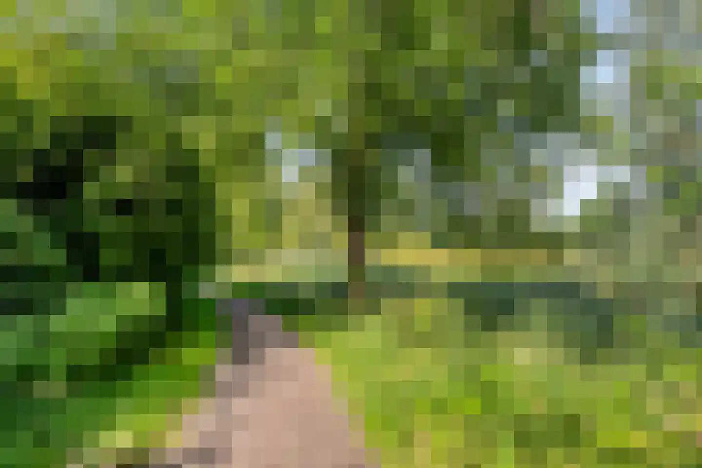 Rijkenspad 23 Goes thumbnail 40