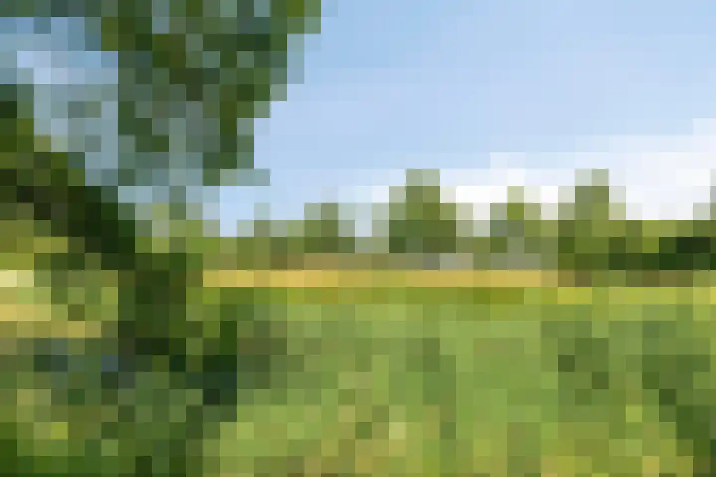 Rijkenspad 23 Goes thumbnail 41