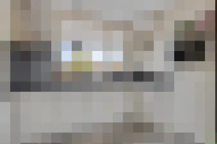 Rijkenspad 25 Goes thumbnail 12