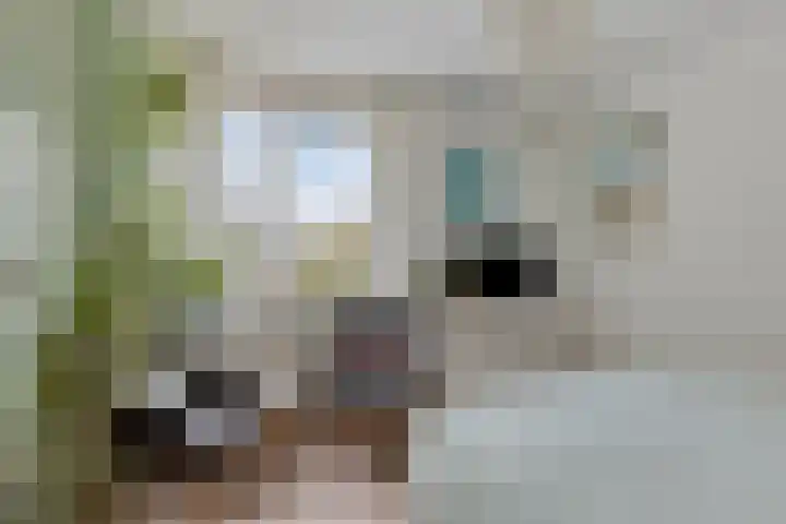 Rijkenspad 25 Goes thumbnail 16