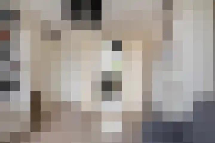 Rijkenspad 25 Goes thumbnail 21