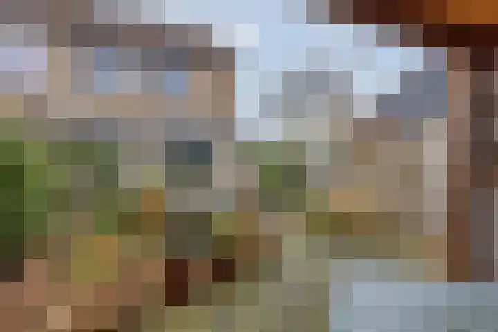 Rijkenspad 25 Goes thumbnail 31