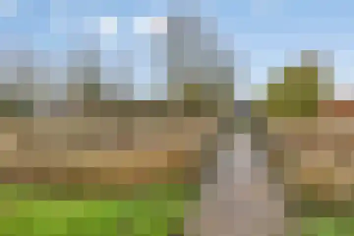 Rijkenspad 25 Goes thumbnail 36