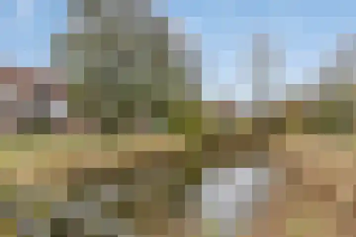 Rijkenspad 25 Goes thumbnail 37