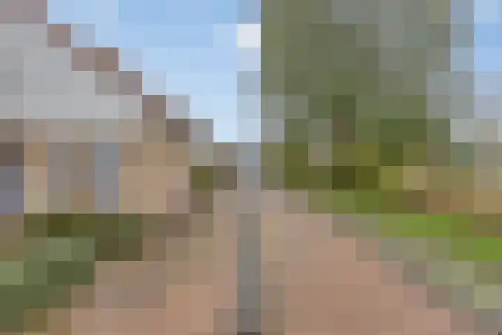 Rijkenspad 25 Goes thumbnail 38