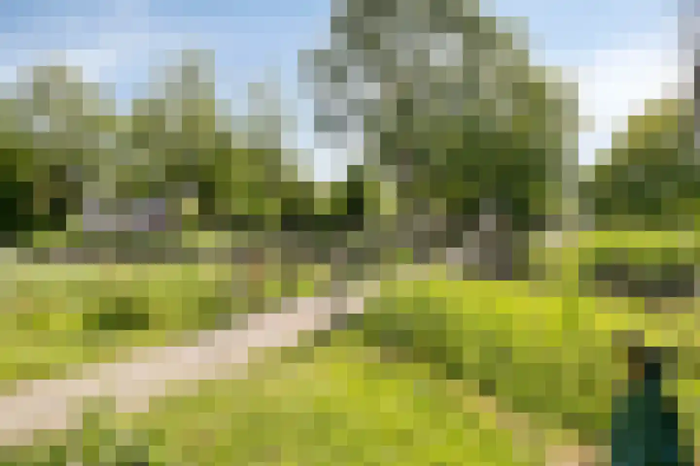 Rijkenspad 3 Goes thumbnail 31