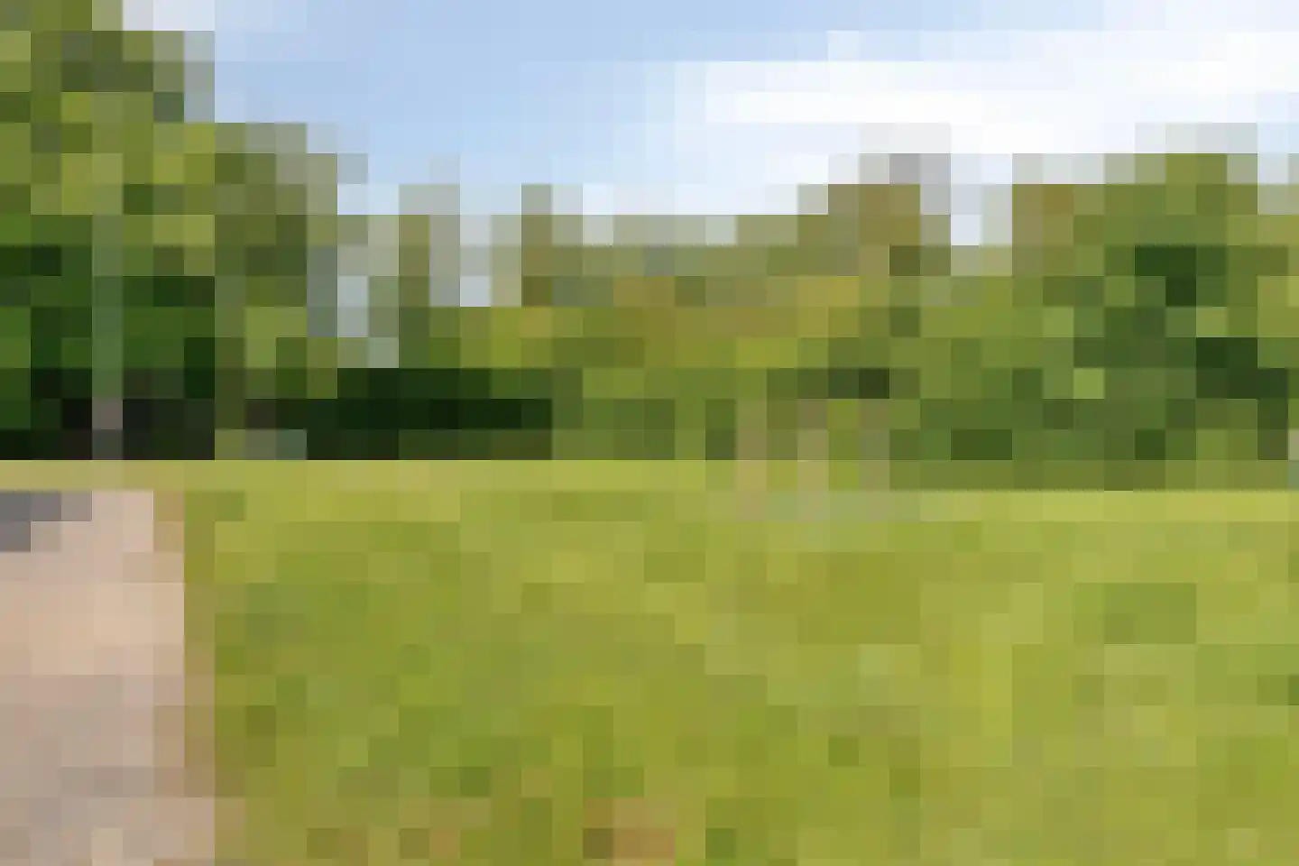 Rijkenspad 3 Goes thumbnail 32