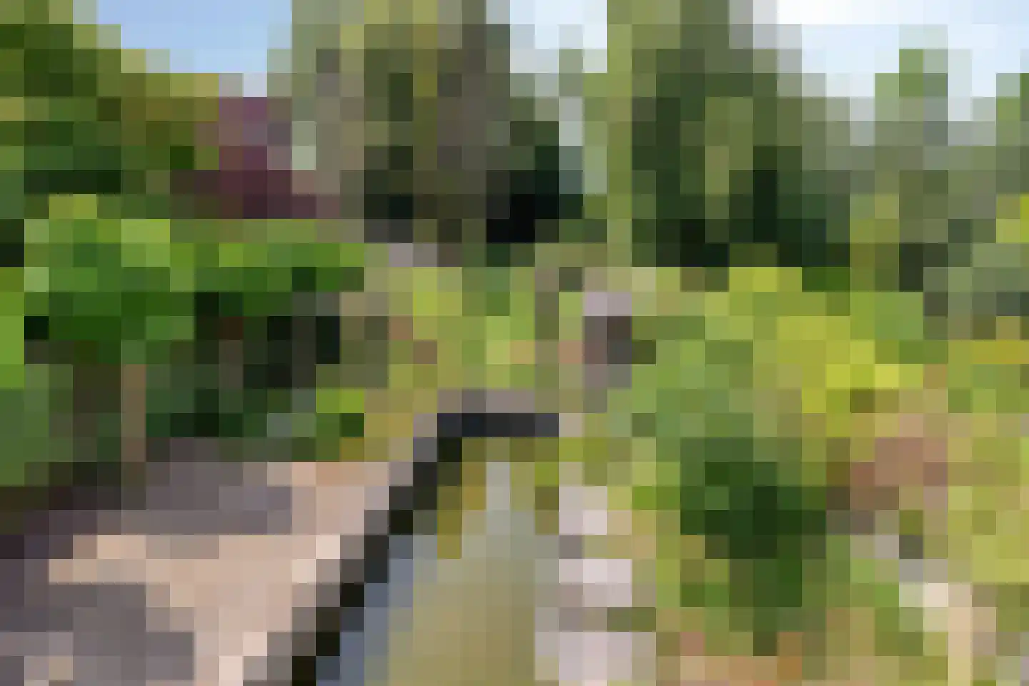 Rijkenswaard 2 Rotterdam thumbnail 25