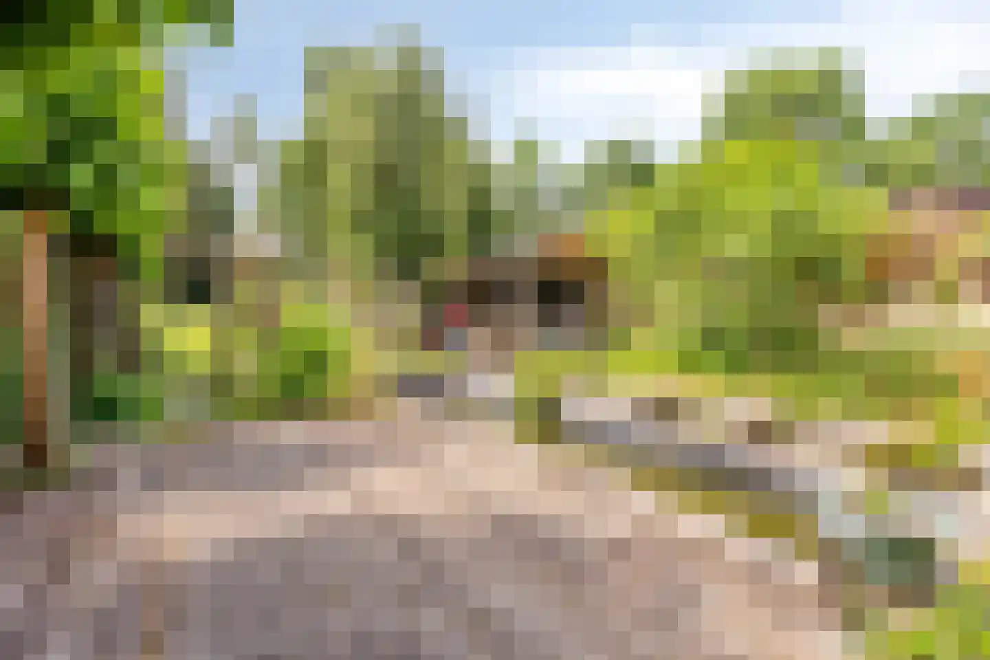 Rijkenswaard 2 Rotterdam thumbnail 32
