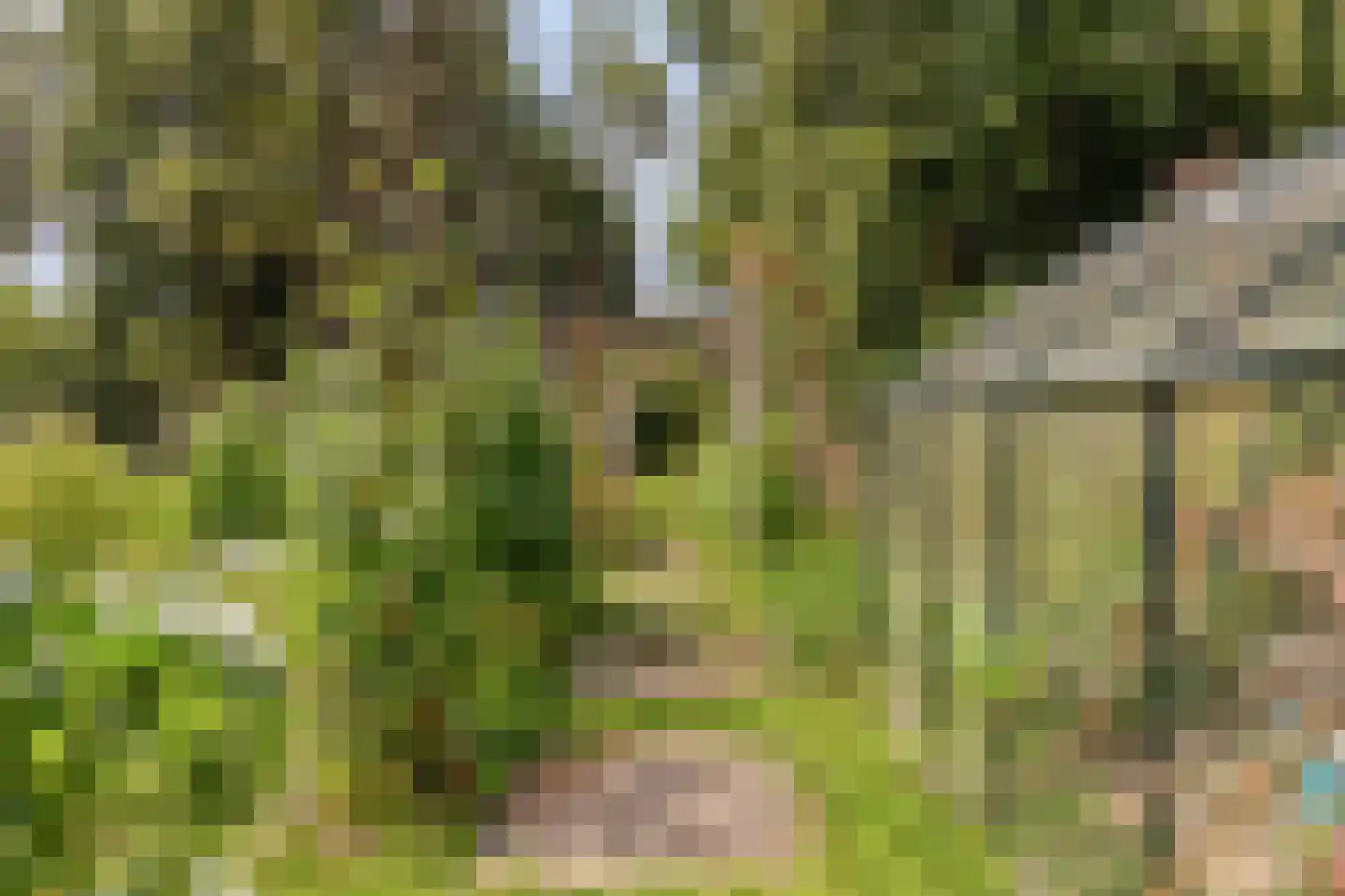 Rijkenswaard 2 Rotterdam thumbnail 36