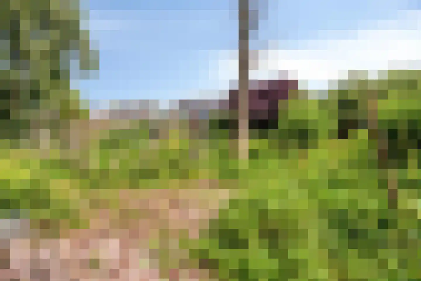 Rijkenswaard 2 Rotterdam thumbnail 38