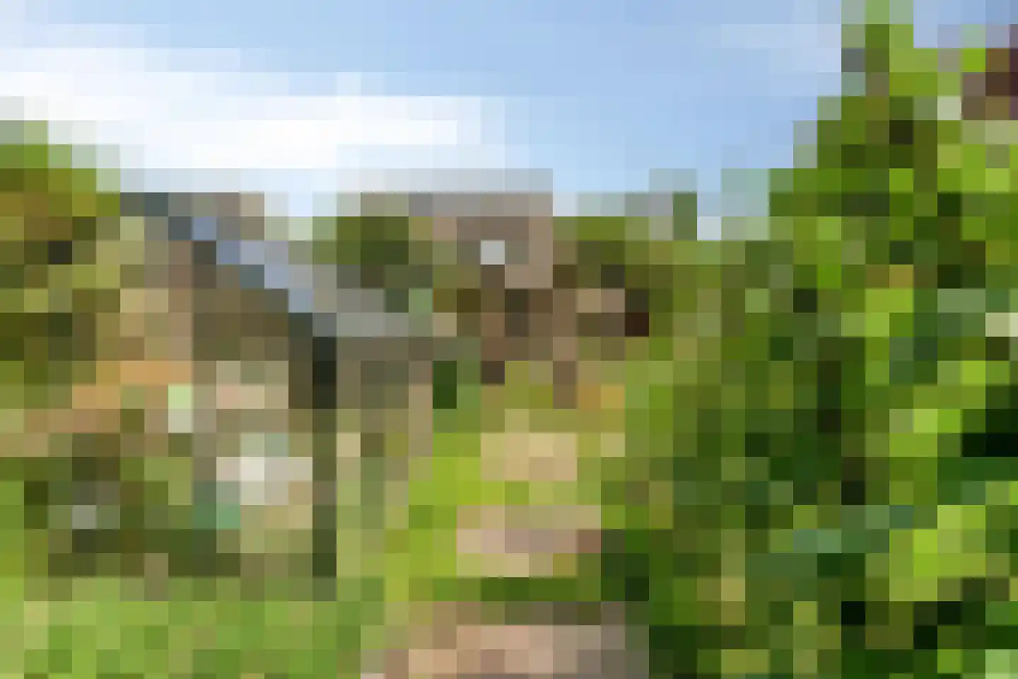 Rijkenswaard 2 Rotterdam thumbnail 39