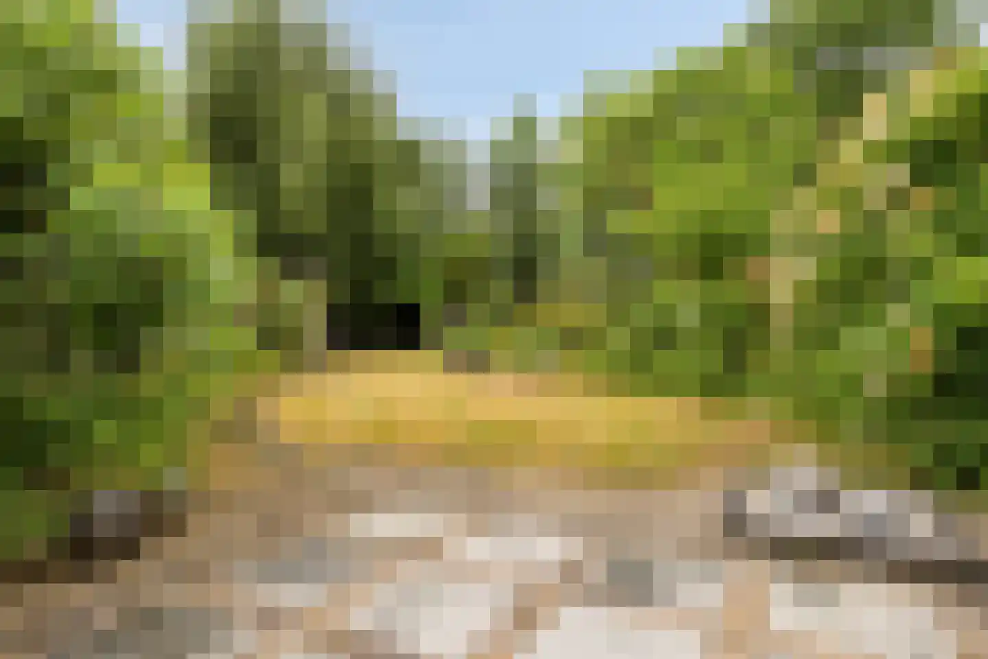 Rijkenswaard 4 Rotterdam thumbnail 35