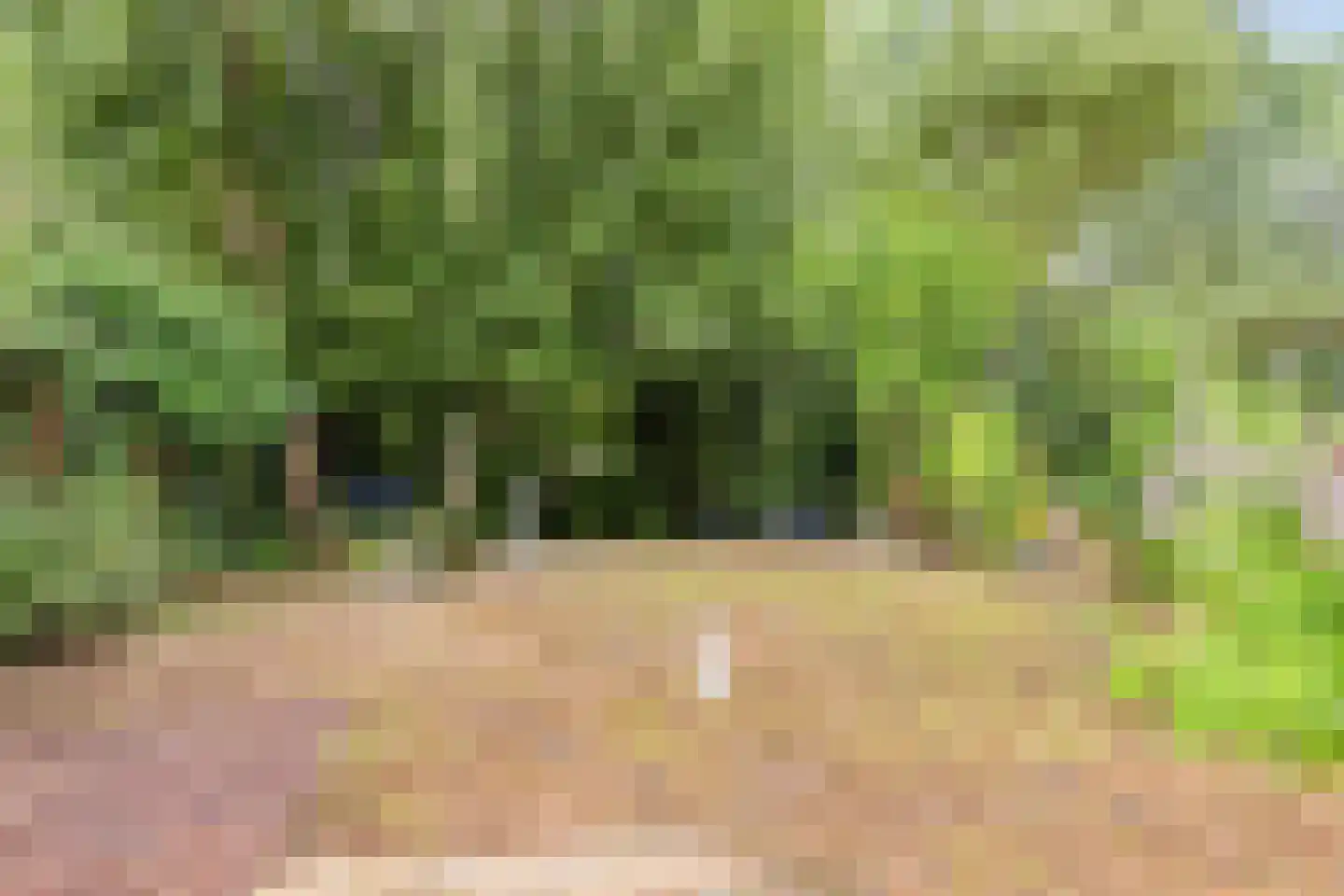 Rijkenswaard 4 Rotterdam thumbnail 36