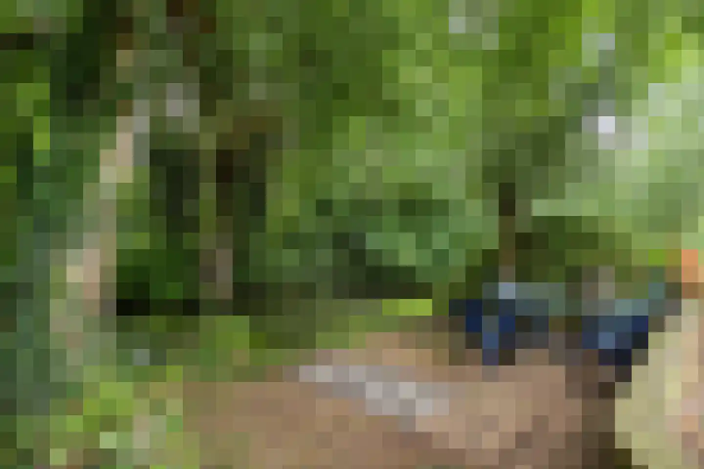 Rijkenswaard 4 Rotterdam thumbnail 37