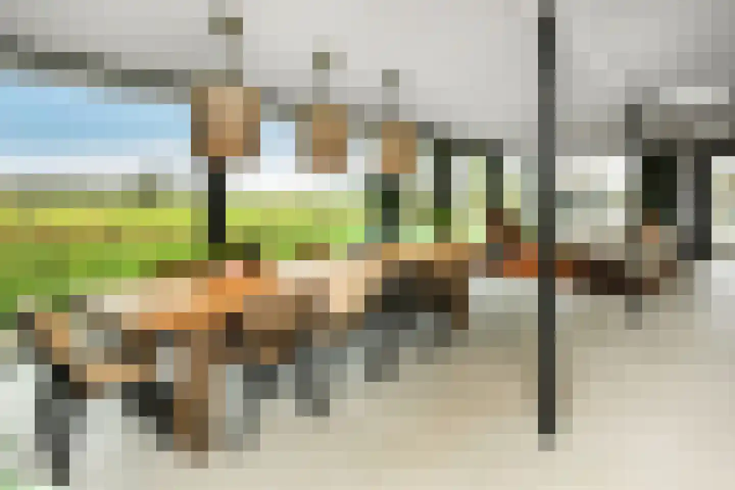 Rijkerswoerdsestraat 10 Elst thumbnail 15