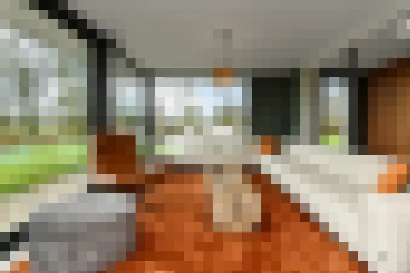 Rijkerswoerdsestraat 10 Elst thumbnail 18