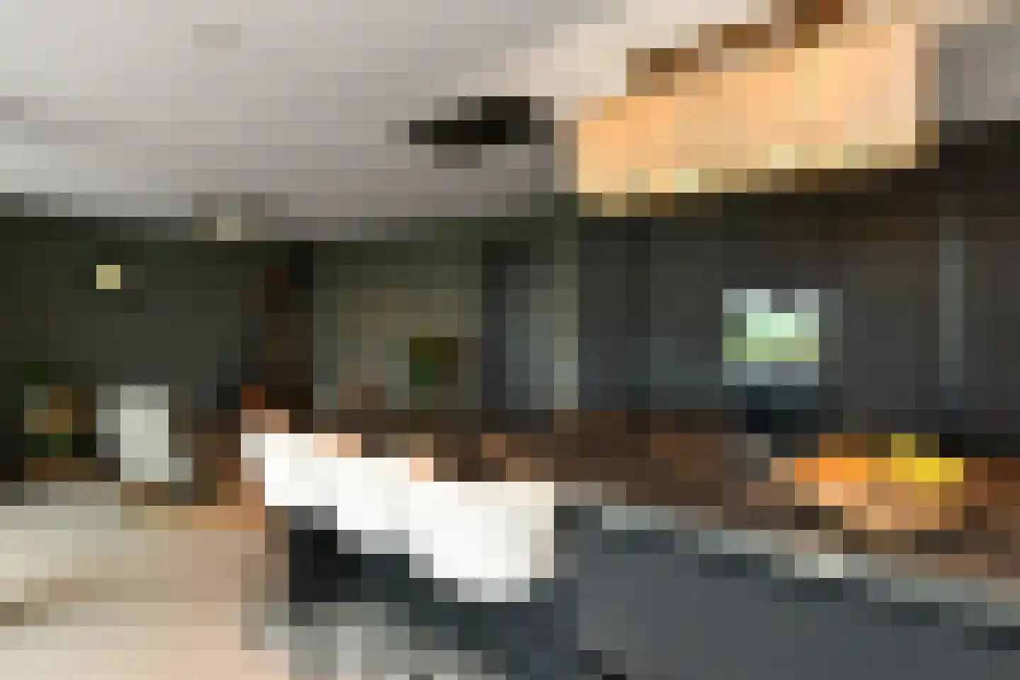 Rijkerswoerdsestraat 10 Elst thumbnail 18
