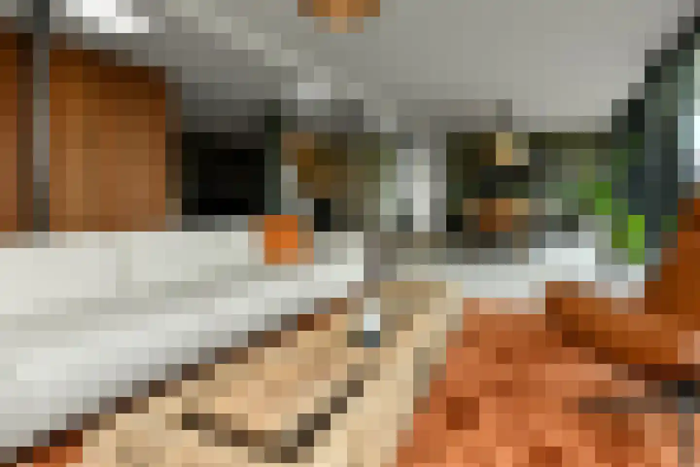 Rijkerswoerdsestraat 10 Elst thumbnail 20