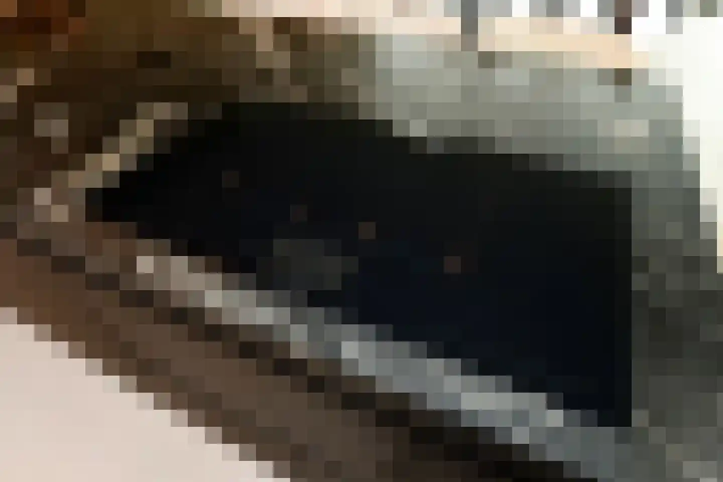 Rijkerswoerdsestraat 10 Elst thumbnail 21