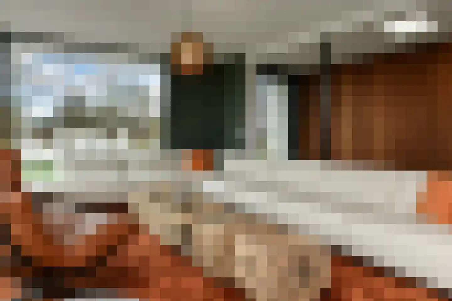 Rijkerswoerdsestraat 10 Elst thumbnail 21