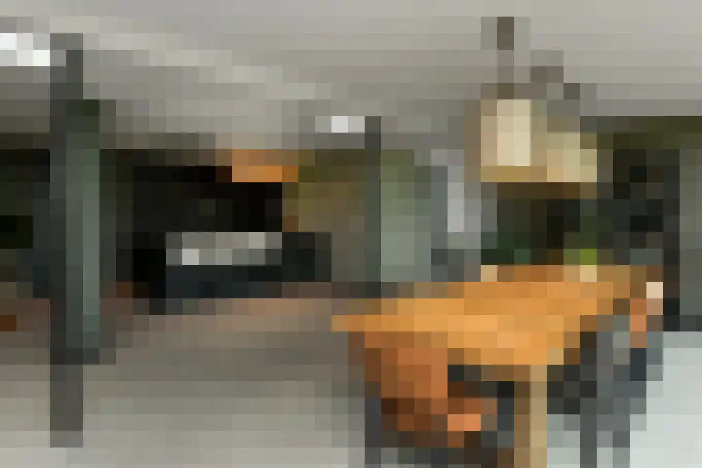 Rijkerswoerdsestraat 10 Elst thumbnail 25