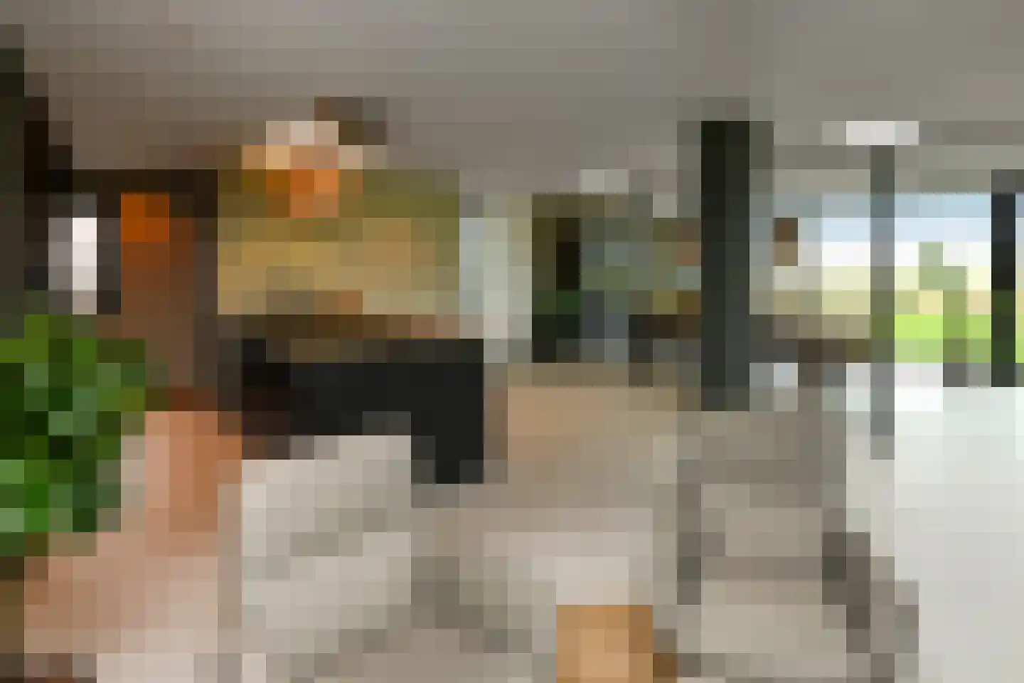 Rijkerswoerdsestraat 10 Elst thumbnail 27