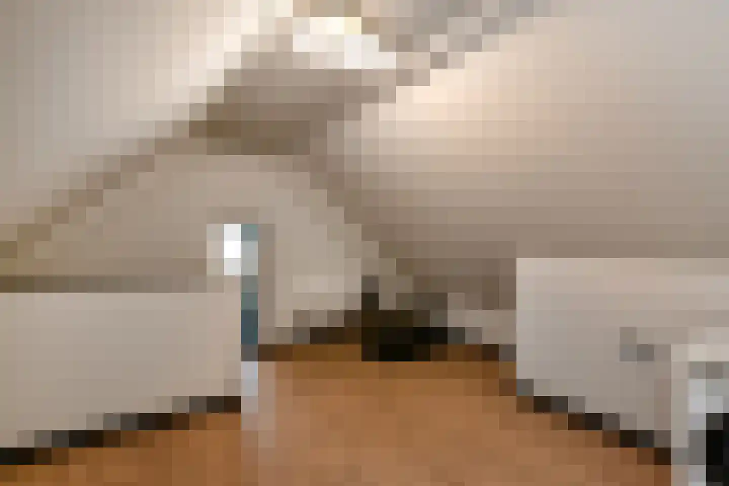 Rijkerswoerdsestraat 10 Elst thumbnail 33