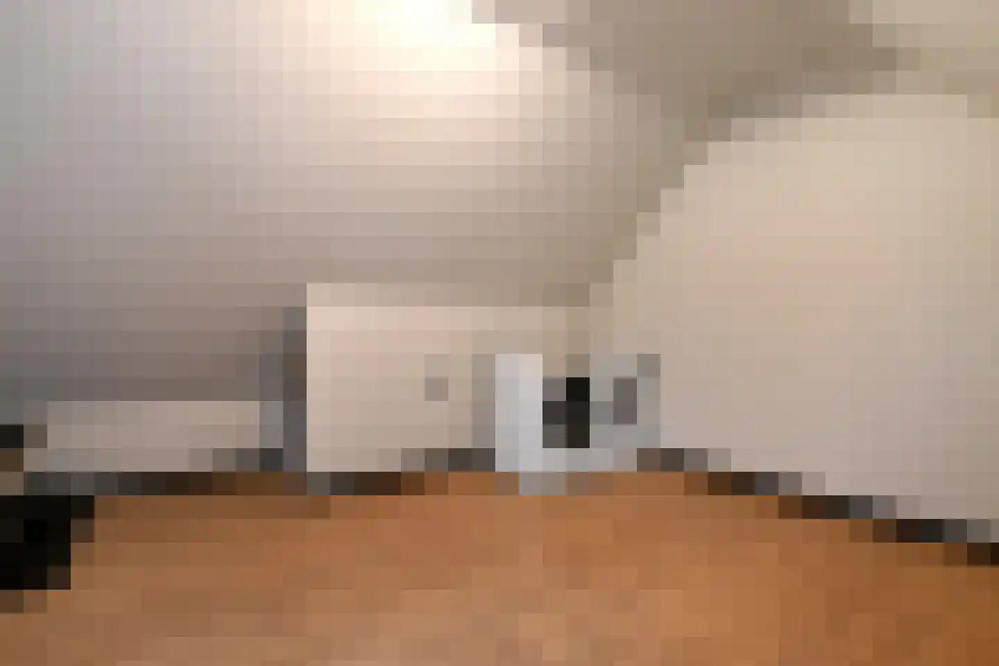 Rijkerswoerdsestraat 10 Elst thumbnail 34
