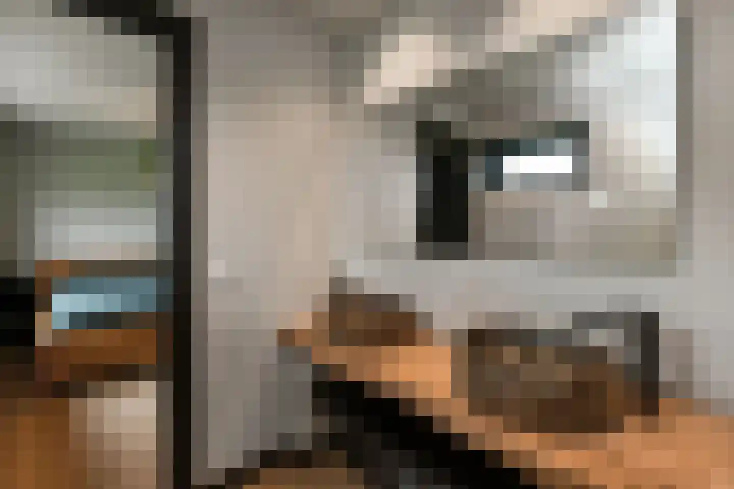 Rijkerswoerdsestraat 10 Elst thumbnail 44