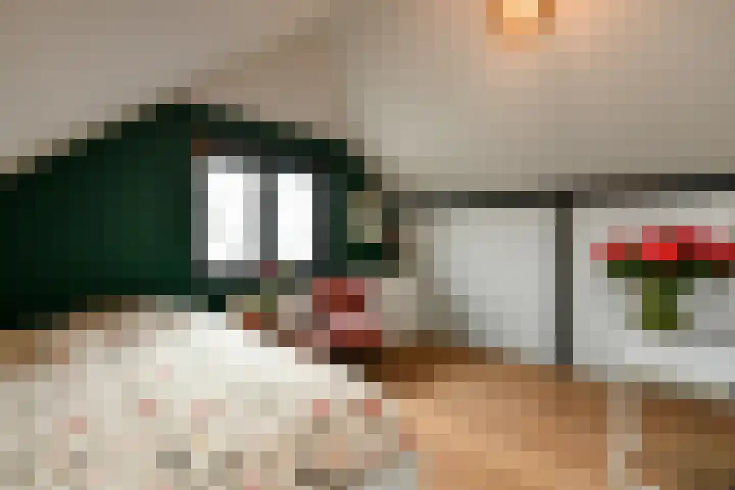 Rijkerswoerdsestraat 10 Elst thumbnail 47