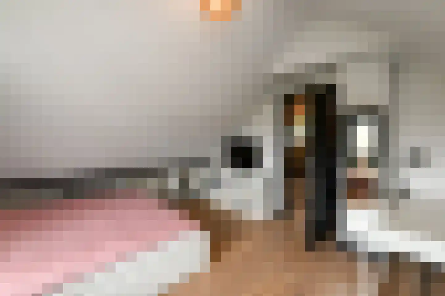 Rijkerswoerdsestraat 10 Elst thumbnail 49