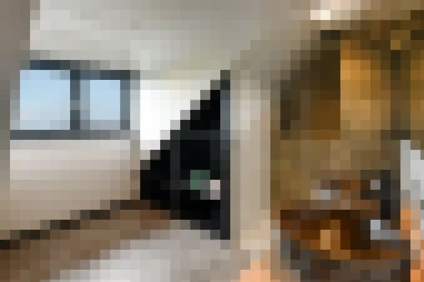 Rijkerswoerdsestraat 10 Elst thumbnail 51