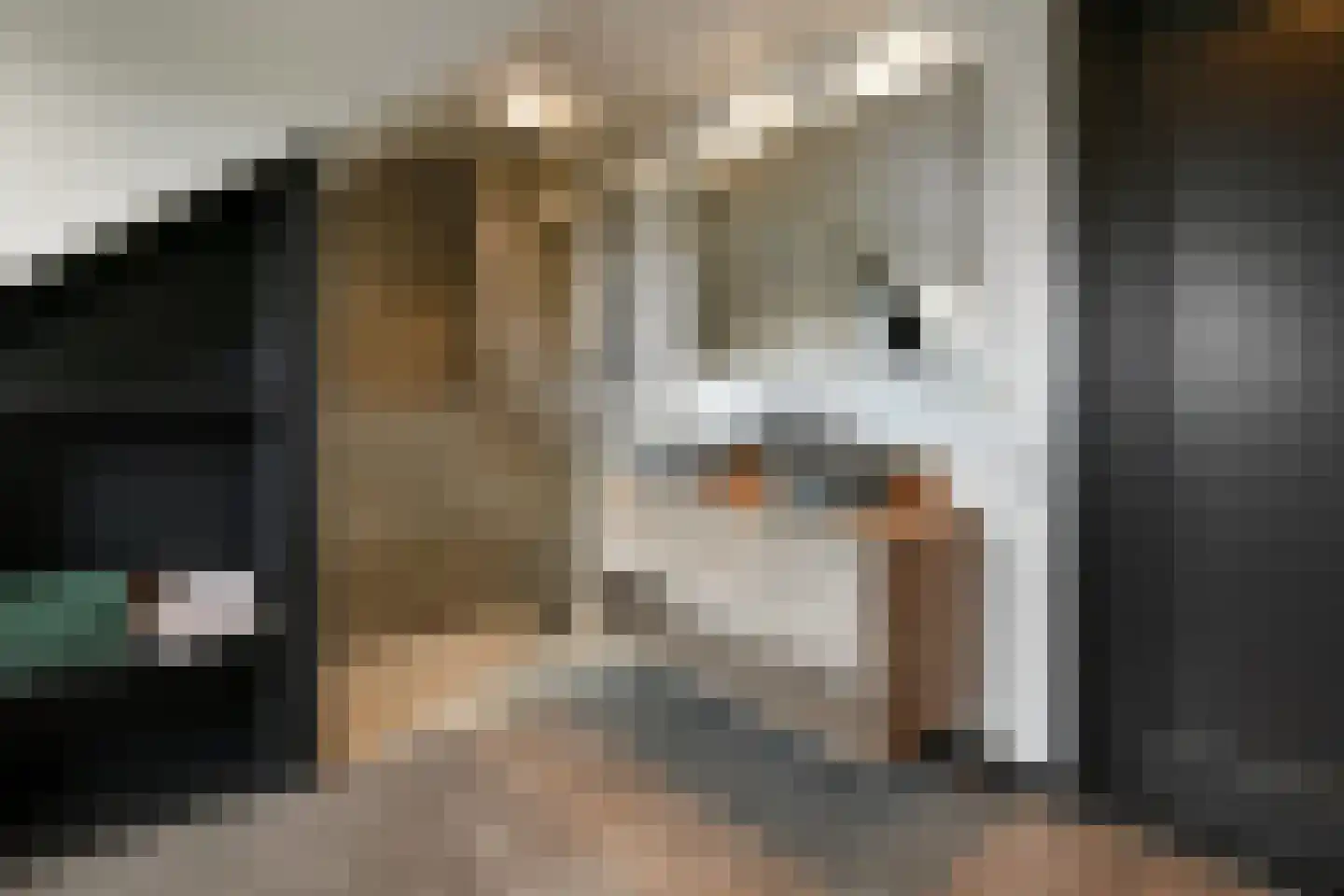 Rijkerswoerdsestraat 10 Elst thumbnail 52