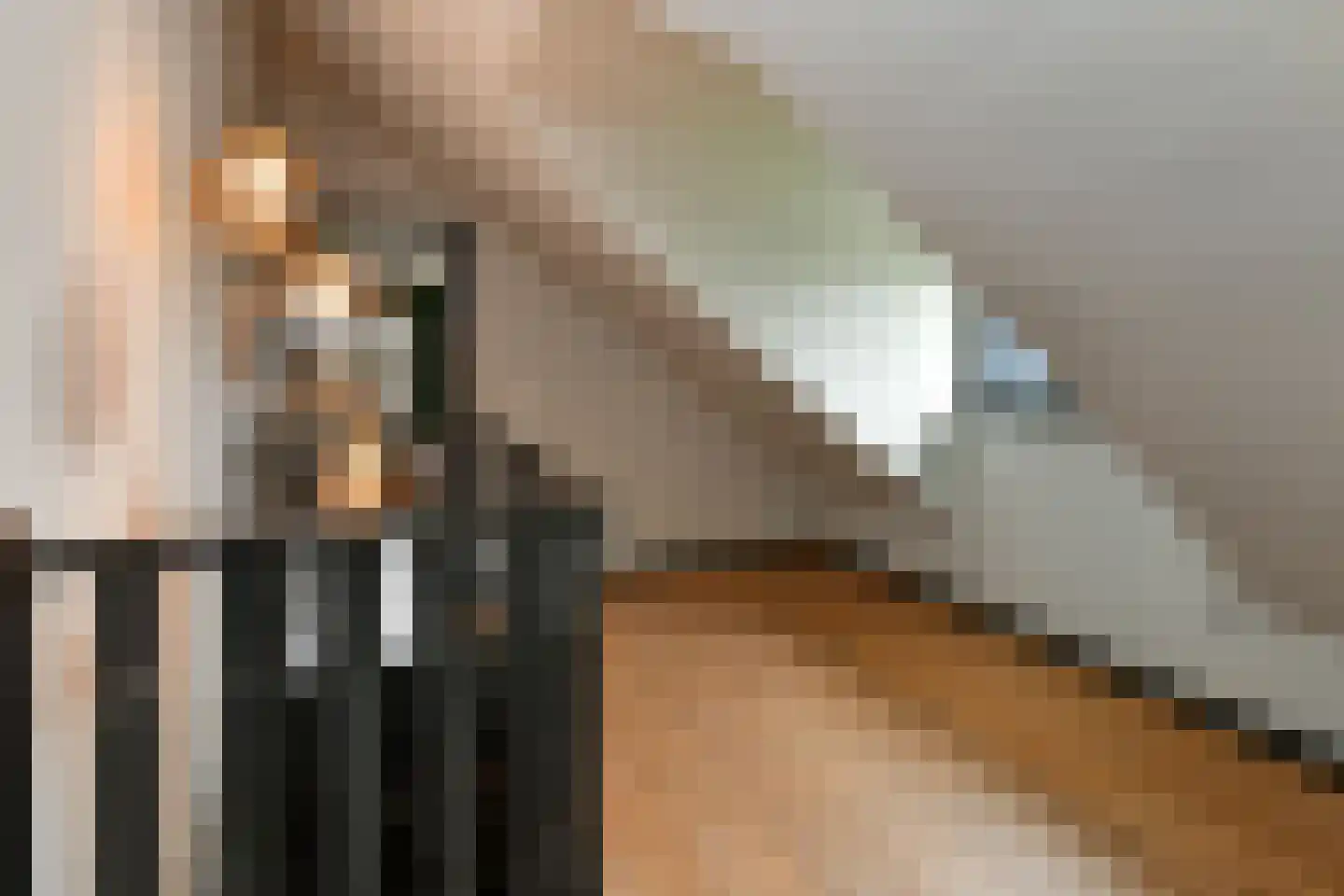 Rijkerswoerdsestraat 10 Elst thumbnail 57