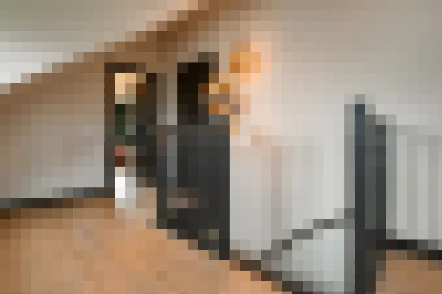 Rijkerswoerdsestraat 10 Elst thumbnail 58